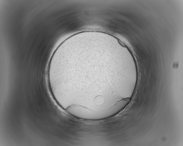 X0000097891440200804111006