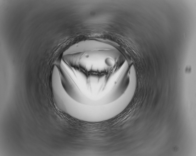 X0000097891441200804111005