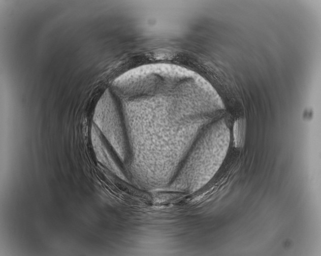 X0000097891443200804111005