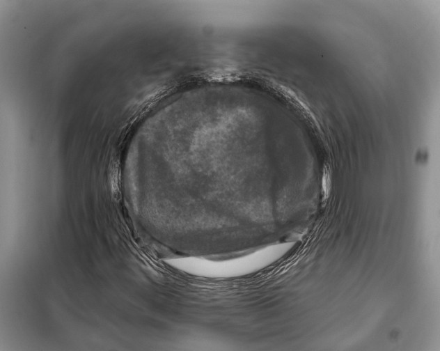 X0000097891444200804111005