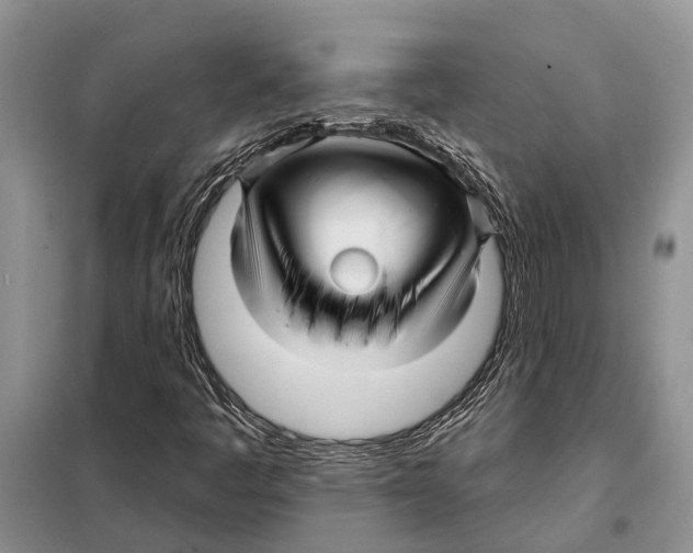 X0000097891445200804111005