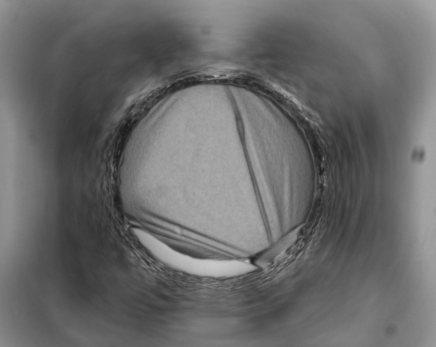 X0000097891447200804111005