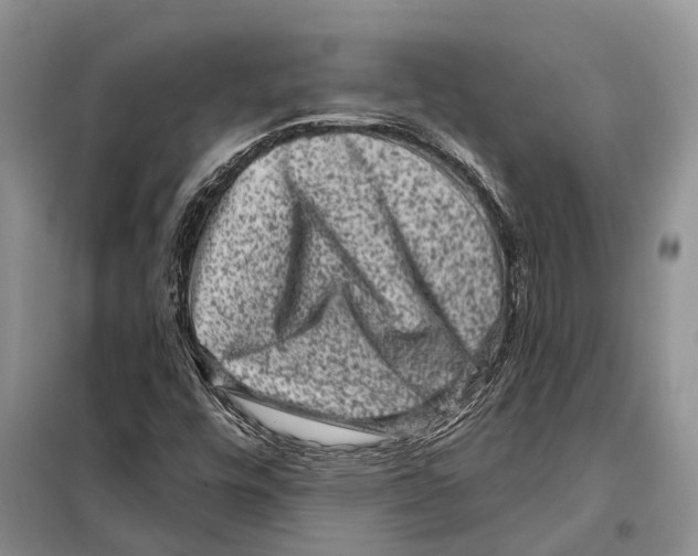 X0000097891448200804111005