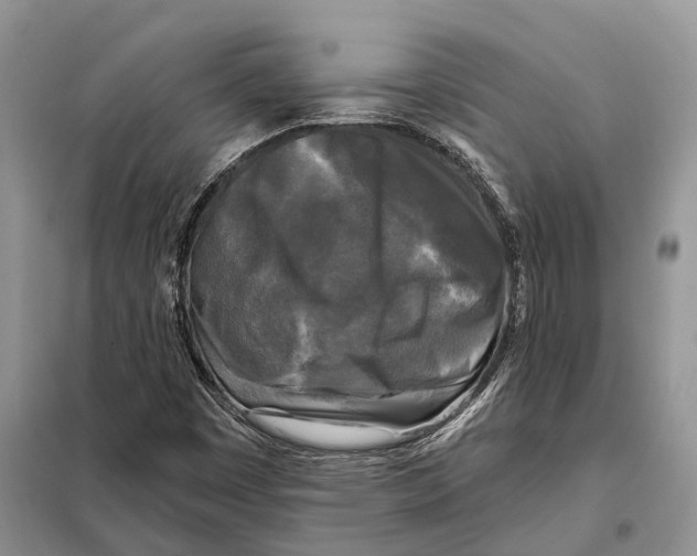 X0000097891449200804111005