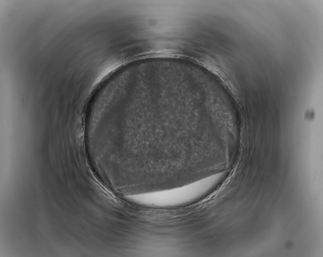 X0000097891450200804111005