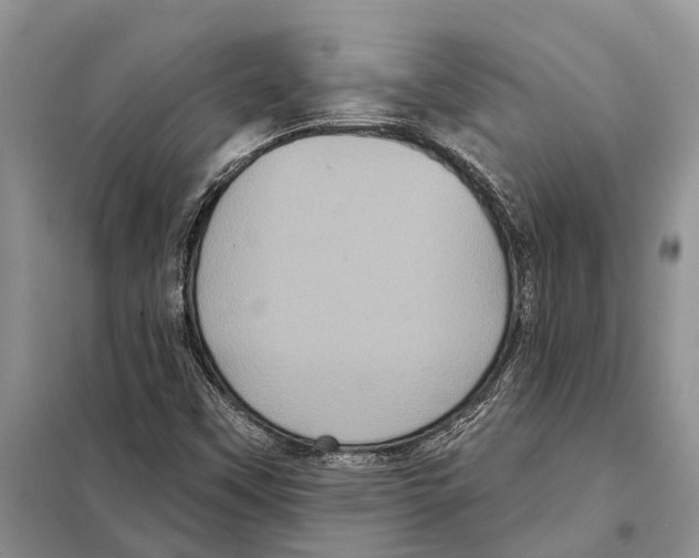 X0000097891451200804111005