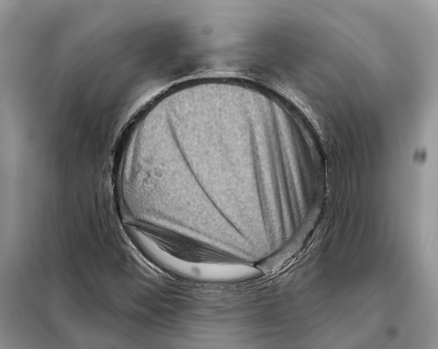 X0000097891452200804111005