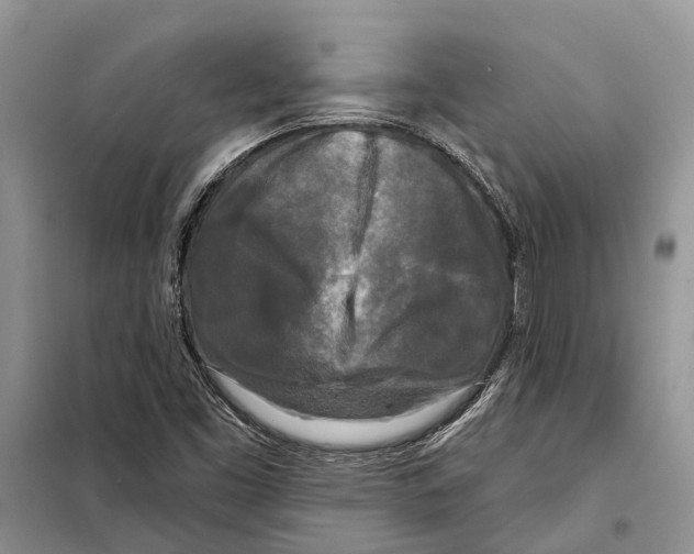 X0000097891453200804111005