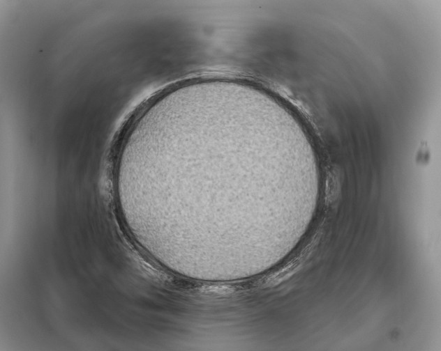 X0000097891454200804111005