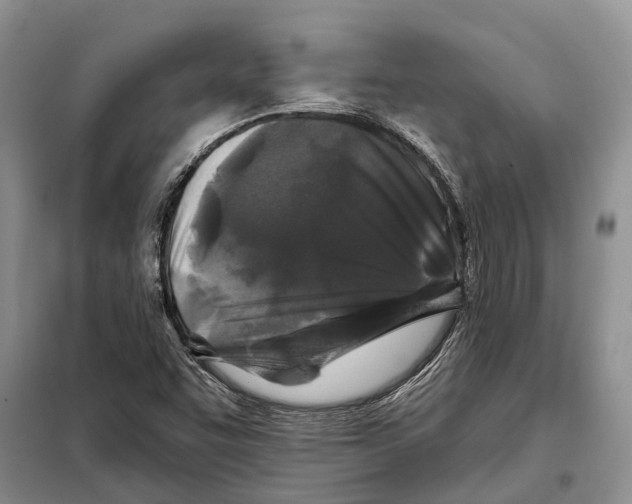 X0000097891455200804111005