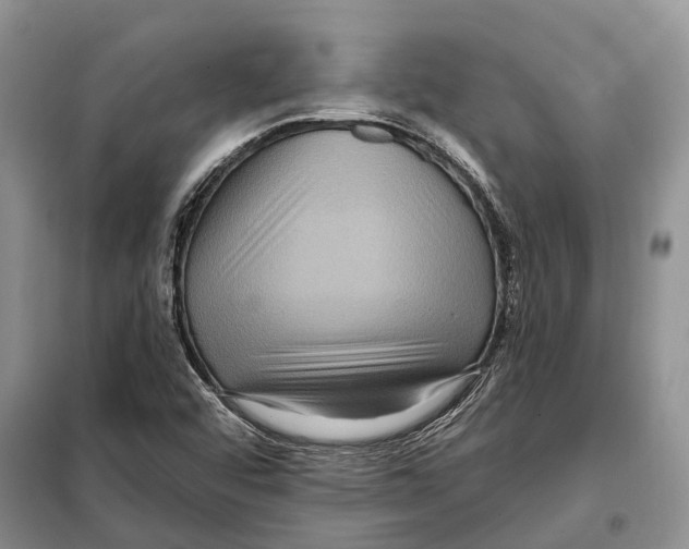 X0000097891456200804111005