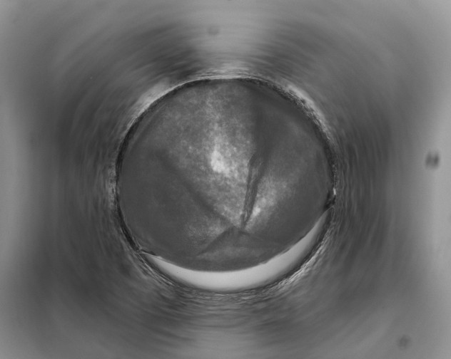 X0000097891457200804111005