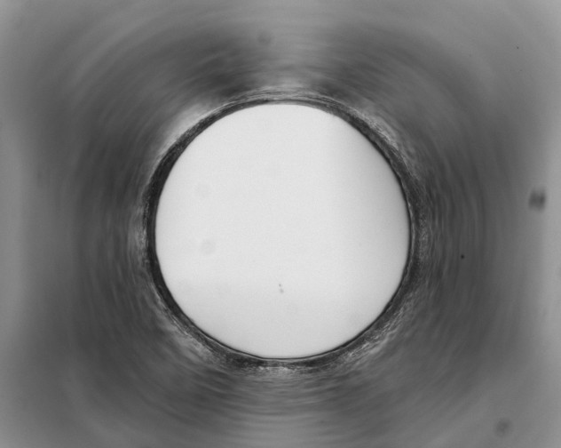 X0000097891458200804111005