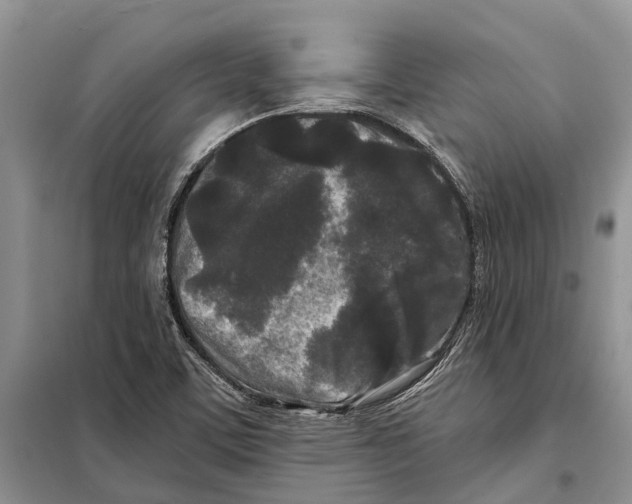 X0000097891459200804111005