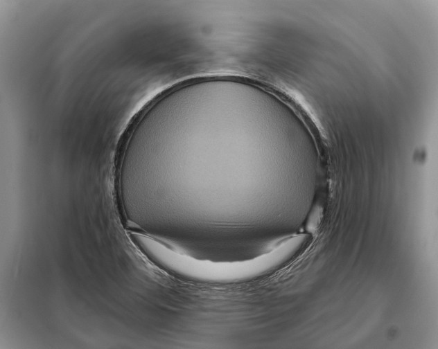 X0000097891460200804111005