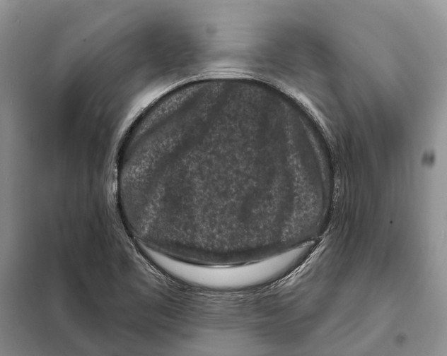 X0000097891461200804111005