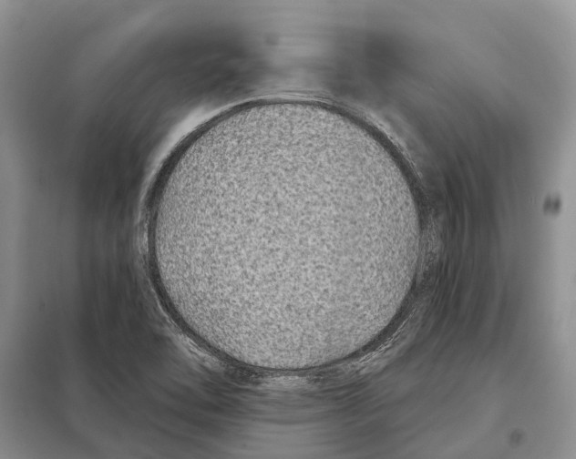 X0000097891462200804111005