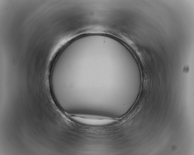 X0000097891464200804111005