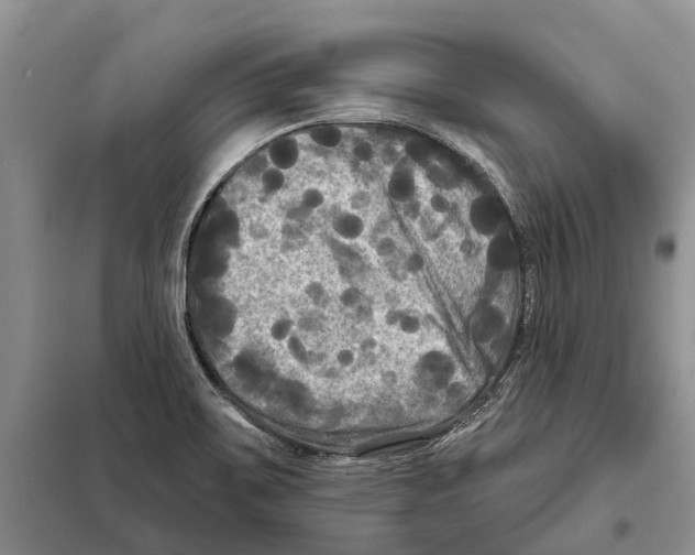 X0000097891467200804111005