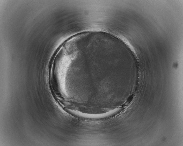 X0000097891468200804111005