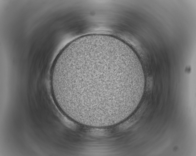 X0000097891470200804111005