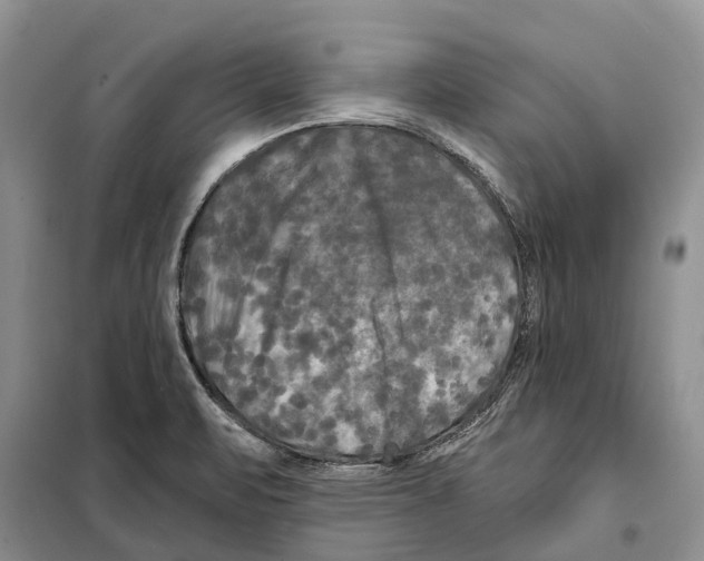 X0000097891471200804111005