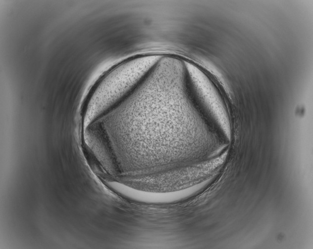 X0000097891472200804111005