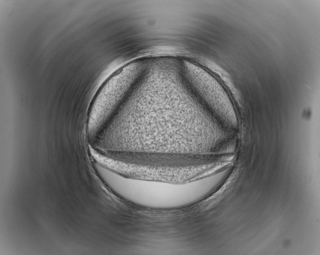 X0000097891473200804111005