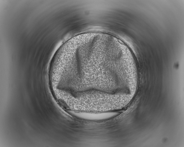 X0000097891475200804111004