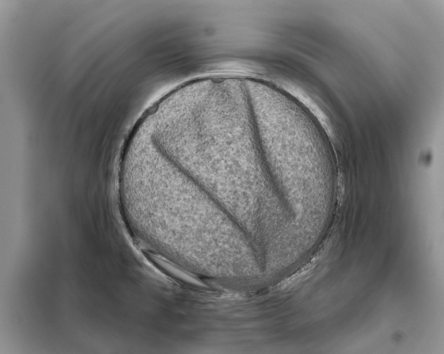 X0000097891477200804111004