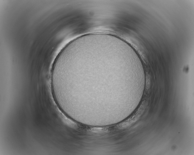 X0000097891478200804111004