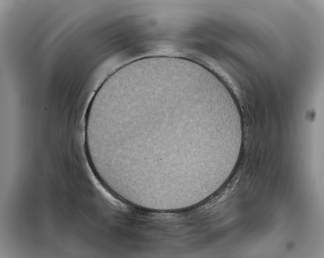 X0000097891479200804111004