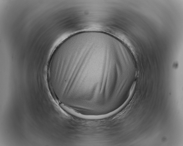 X0000097891480200804111004