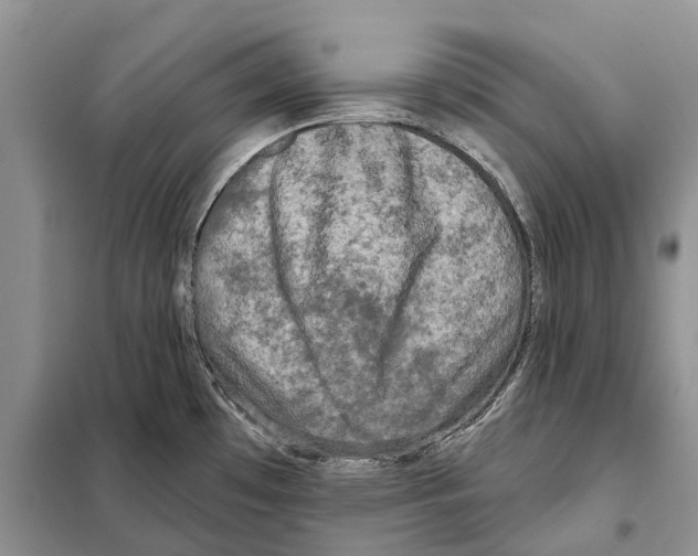 X0000097891481200804111004