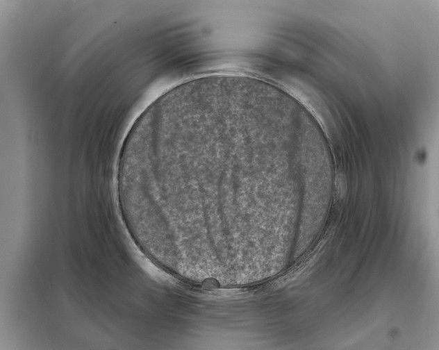 X0000097891482200804111004