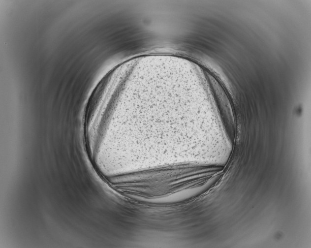 X0000097891483200804111004