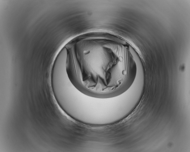 X0000097891484200804111004