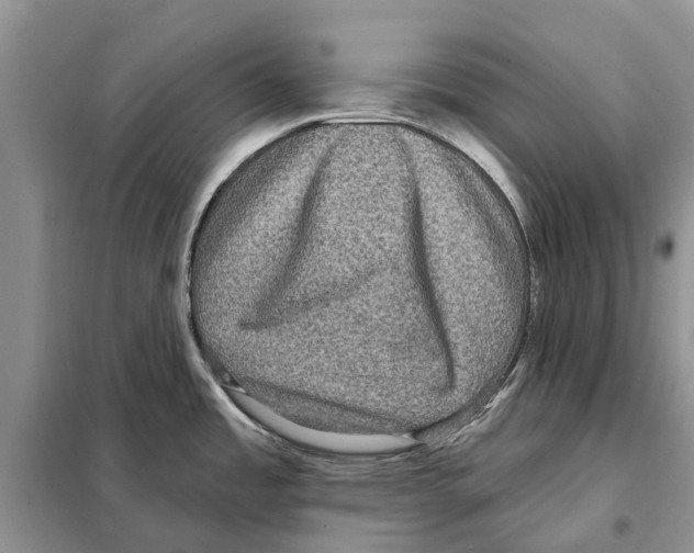 X0000097891485200804111004