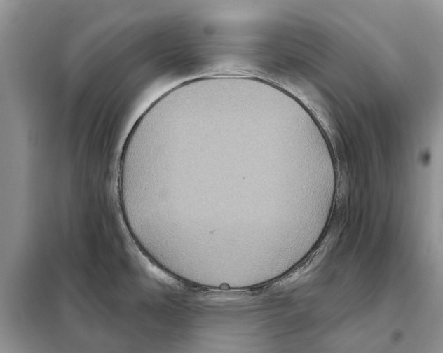 X0000097891486200804111004