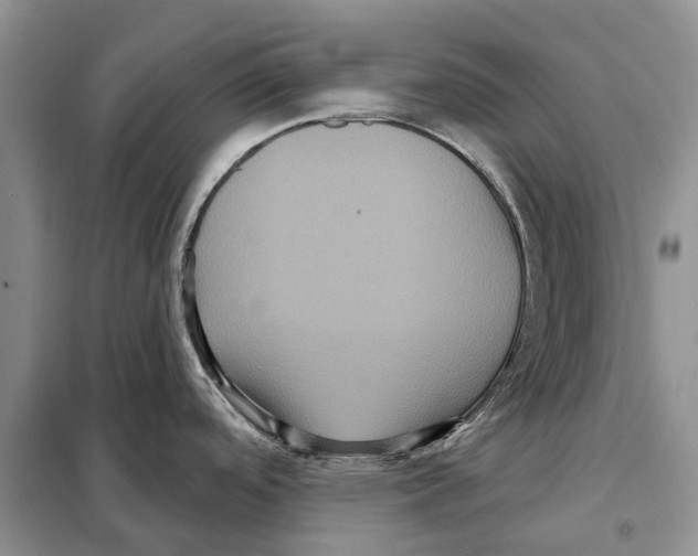 X0000097891488200804111004