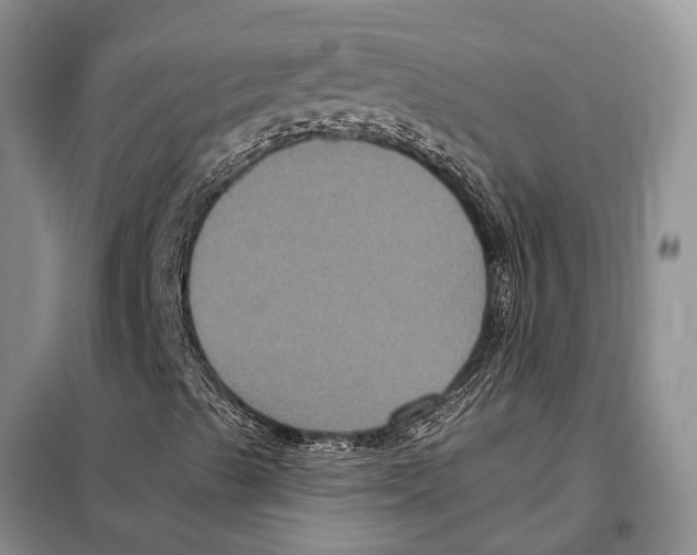 X0000097891489200804111003