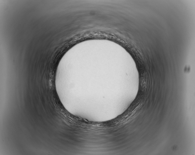 X0000097891490200804111003