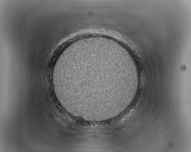 X0000097891494200804111003