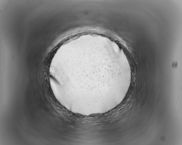 X0000097891496200804111003