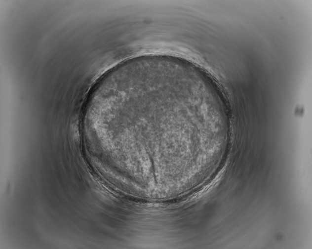 X0000097891497200804111003