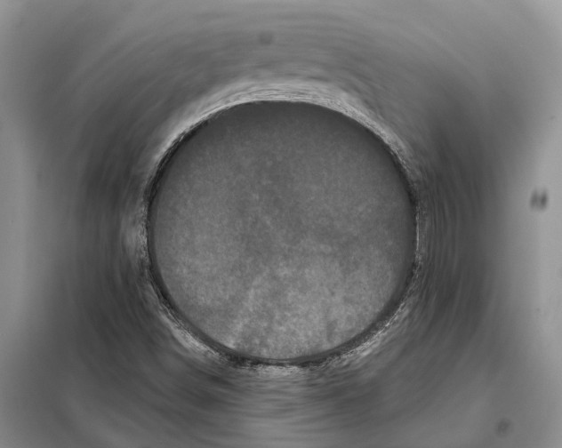 X0000097891498200804111003