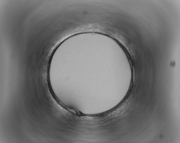 X0000097891500200804111003