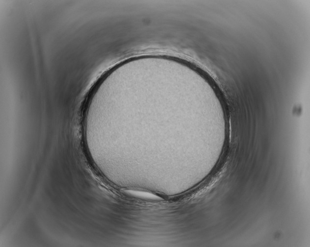 X0000097891501200804111003