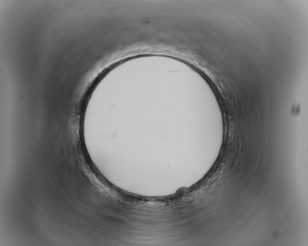 X0000097891503200804111003