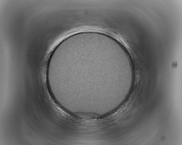 X0000097891504200804111003